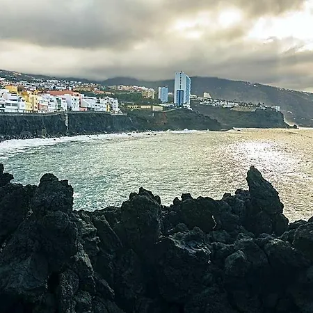 Puerto Nest *