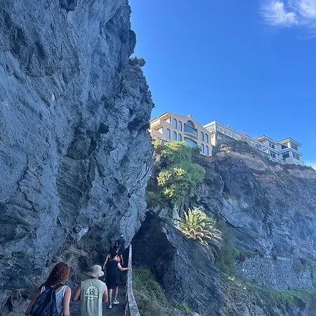 Puerto Nest *