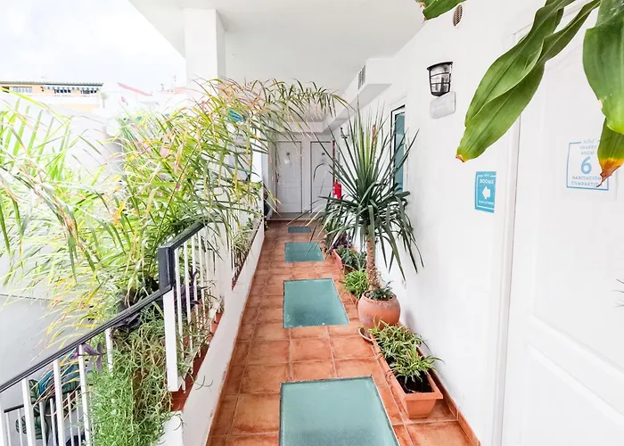 Auberge de jeunesse Puerto Nest Puerto de la Cruz (Tenerife)